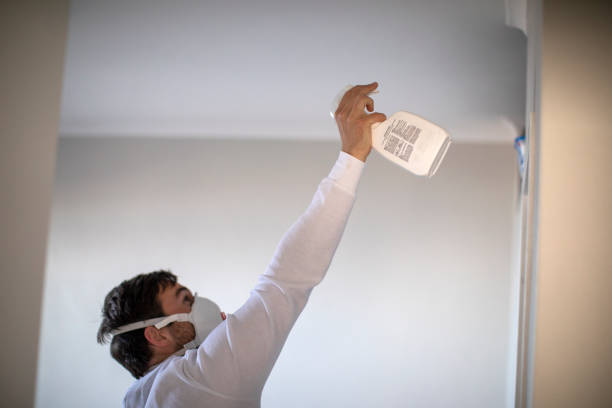 Best Same-Day Mold Removal  in Lipatria, CA